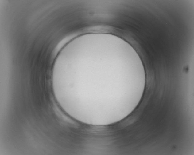 X0000112481486200909281058