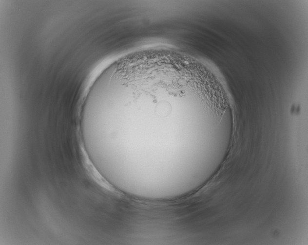 X0000112481488200909281057