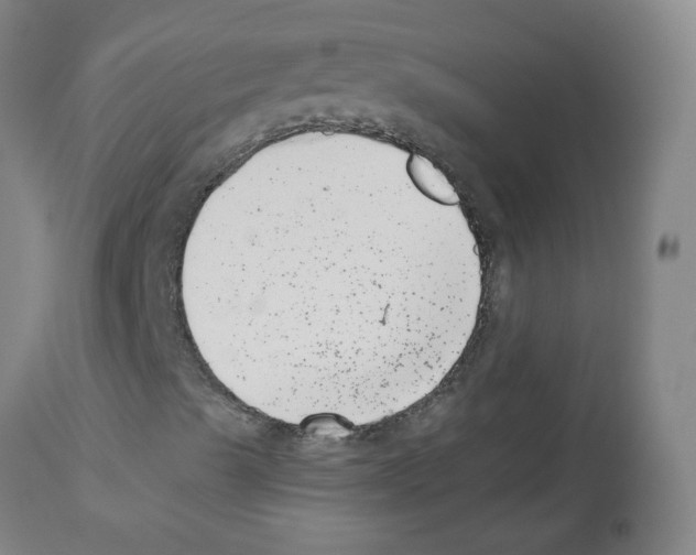 X0000112481489200909281057