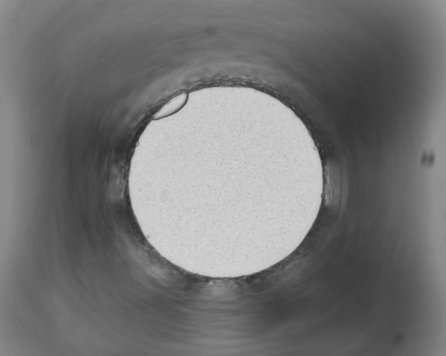 X0000112481491200909281057