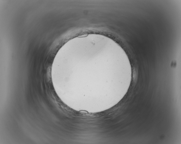 X0000112481492200909281057