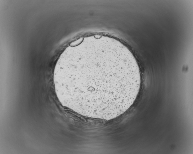 X0000112481494200909281057