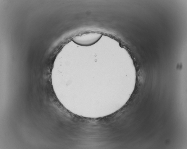 X0000112481495200909281057