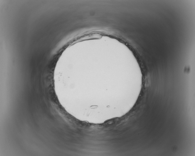 X0000112481496200909281057