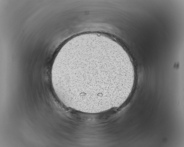 X0000112481497200909281057