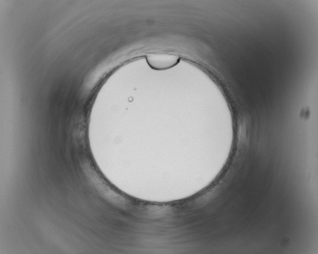 X0000112481498200909281057