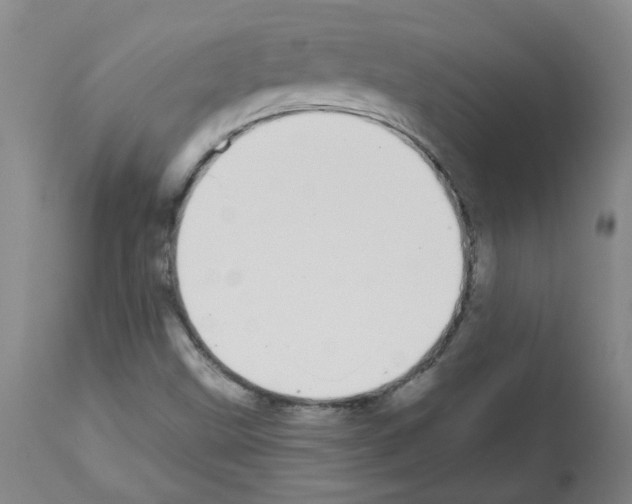 X0000112481499200909281057