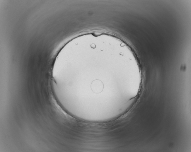 X0000112481500200909281057