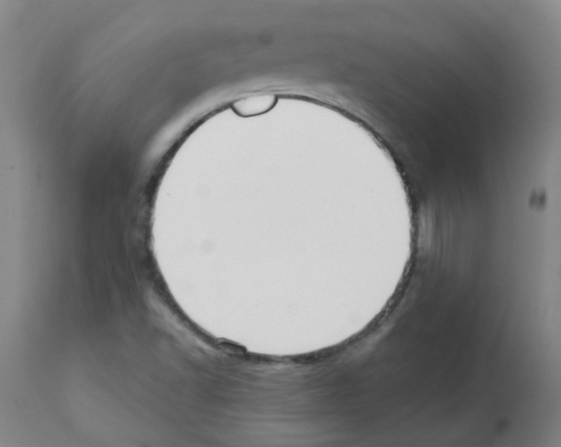 X0000112481502200909281057