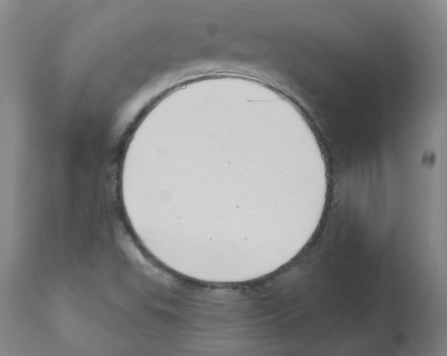 X0000112481503200909281057