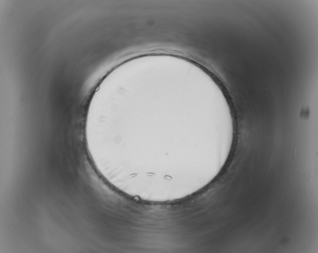 X0000112481504200909281057