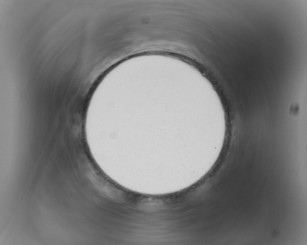 X0000112481505200909281057