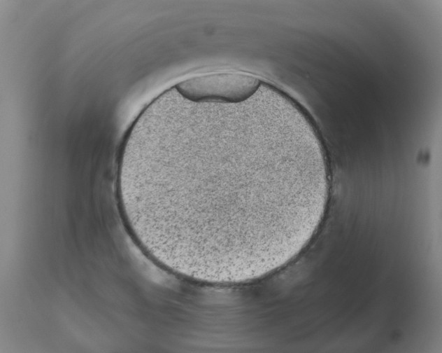 X0000112481508200909281057