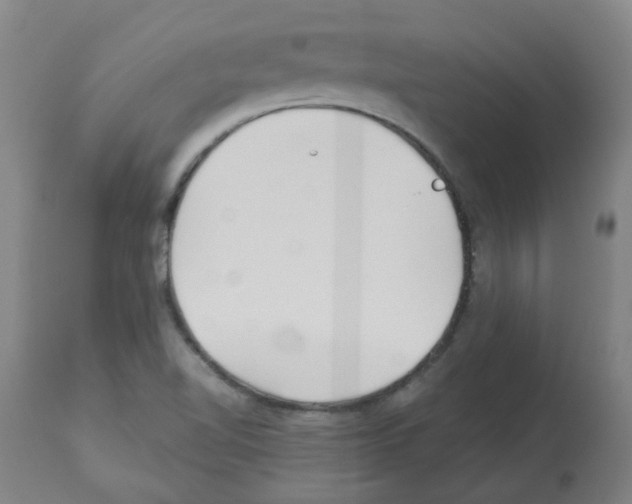 X0000112481510200909281057