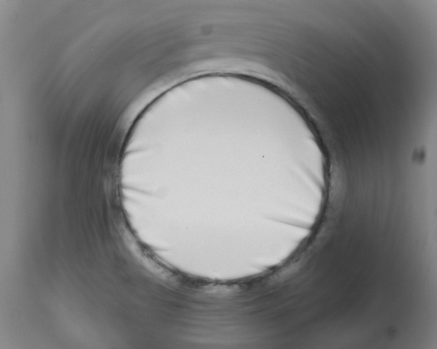 X0000112481513200909281057