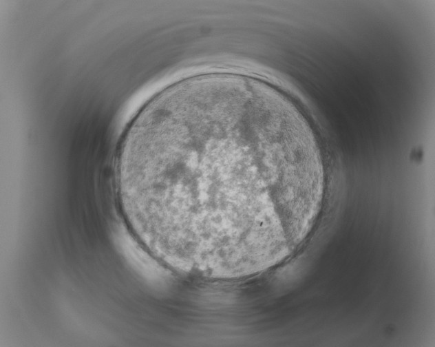 X0000112481514200909281057