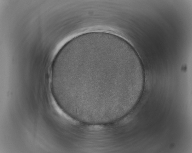 X0000112481515200909281057