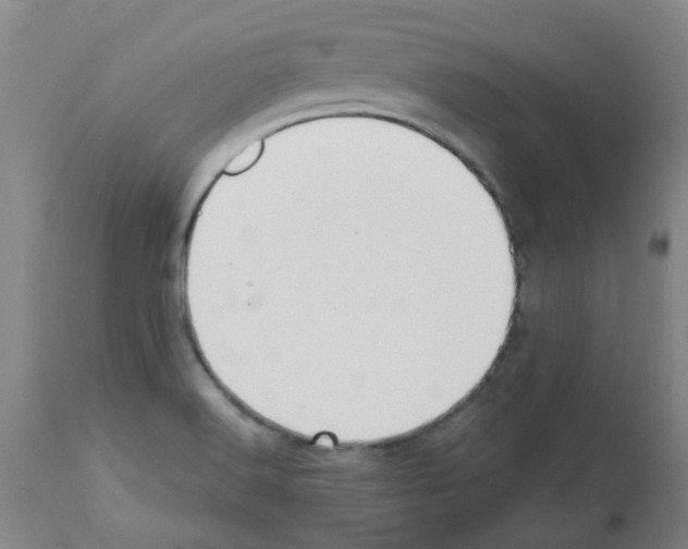 X0000112481516200909281057