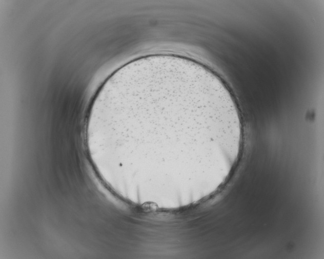 X0000112481517200909281057