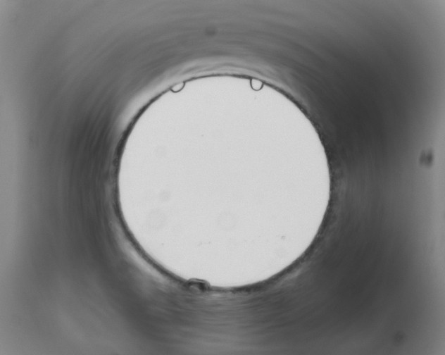 X0000112481518200909281057