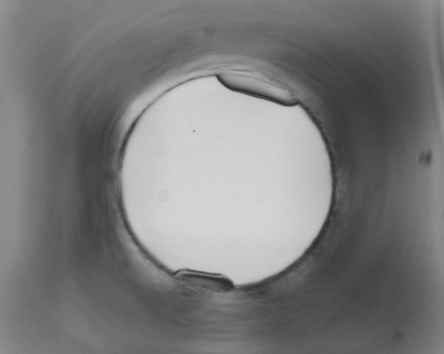 X0000112481520200909281057