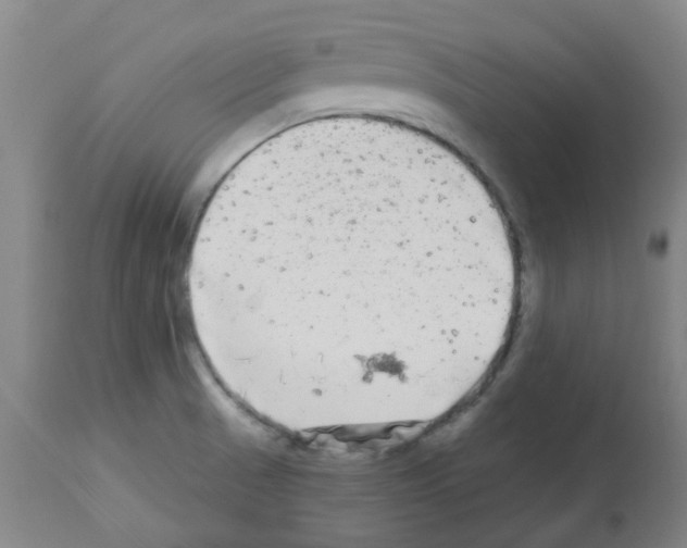 X0000112481521200909281057