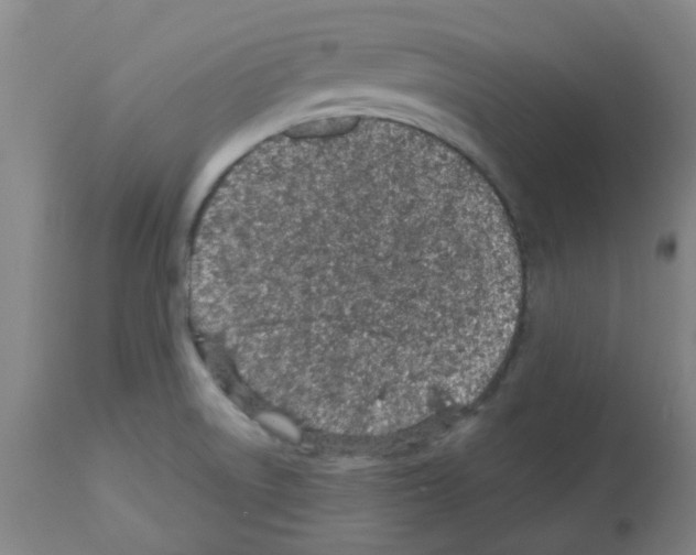 X0000112481522200909281057