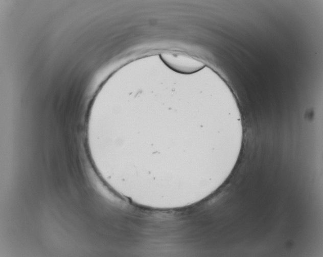 X0000112481523200909281057