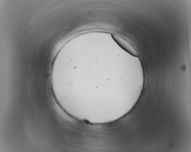 X0000112481524200909281057