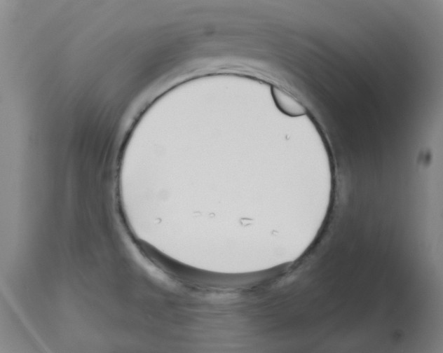 X0000112481525200909281057