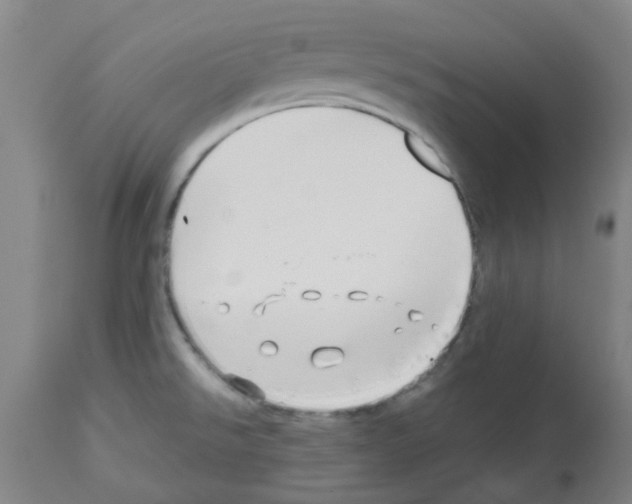 X0000112481526200909281057