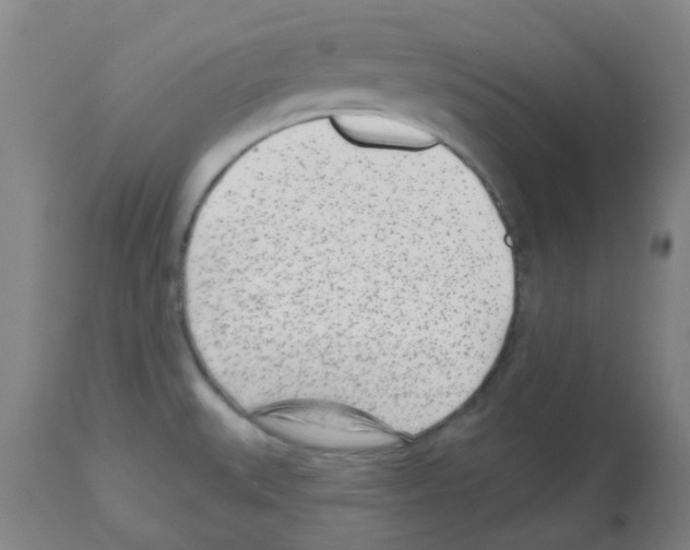 X0000112481527200909281057