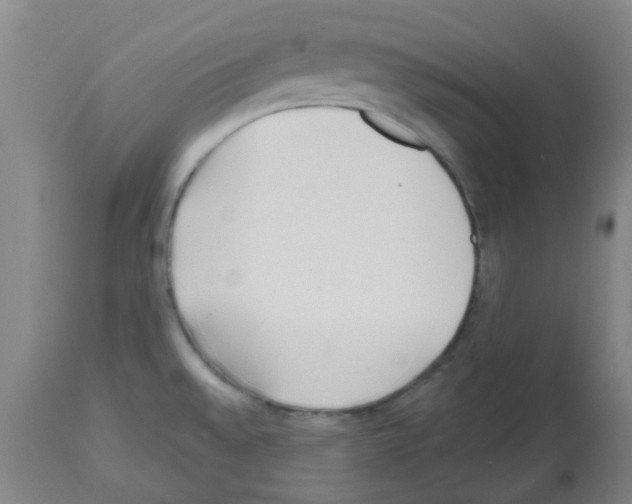 X0000112481528200909281057