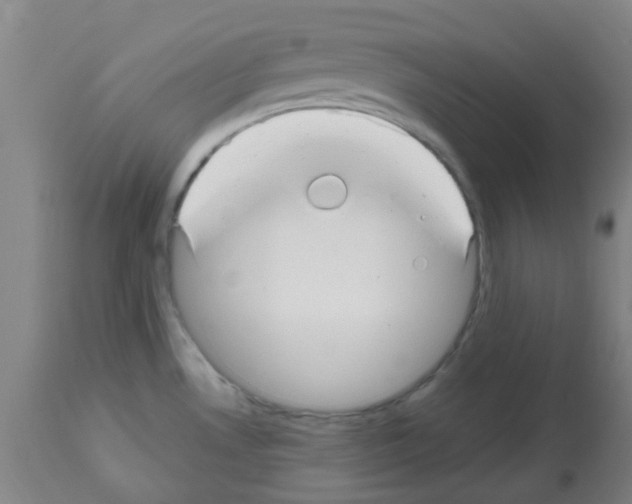 X0000112481530200909281057