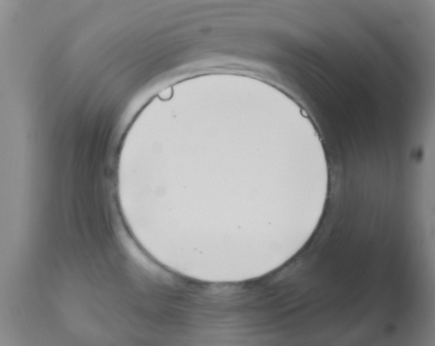 X0000112481531200909281057