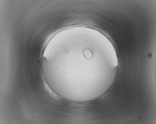 X0000112481532200909281057