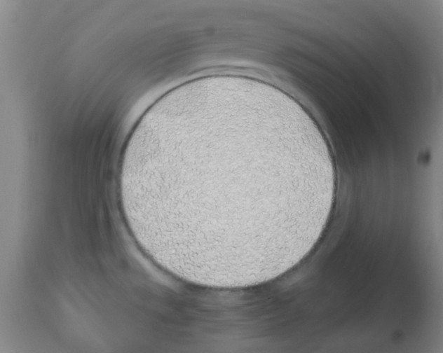 X0000112481533200909281057