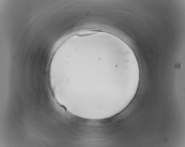 X0000112481536200909281057