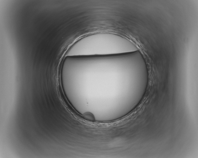 X0000112490002200908171000
