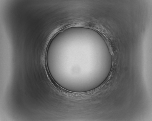 X0000112490003200908171000
