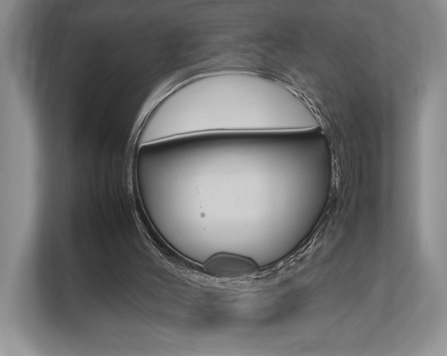 X0000112490004200908171000