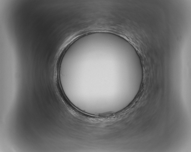 X0000112490005200908171000