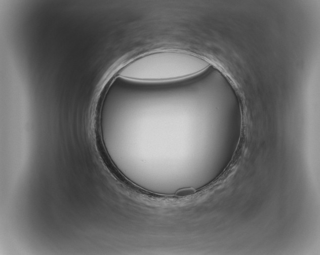 X0000112490007200908171000