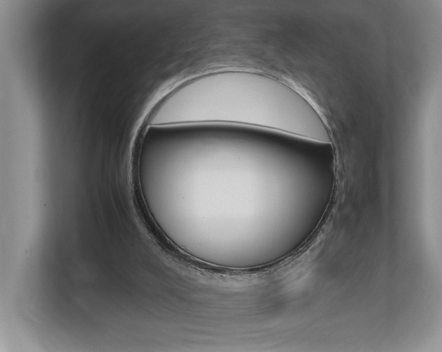 X0000112490008200908171000