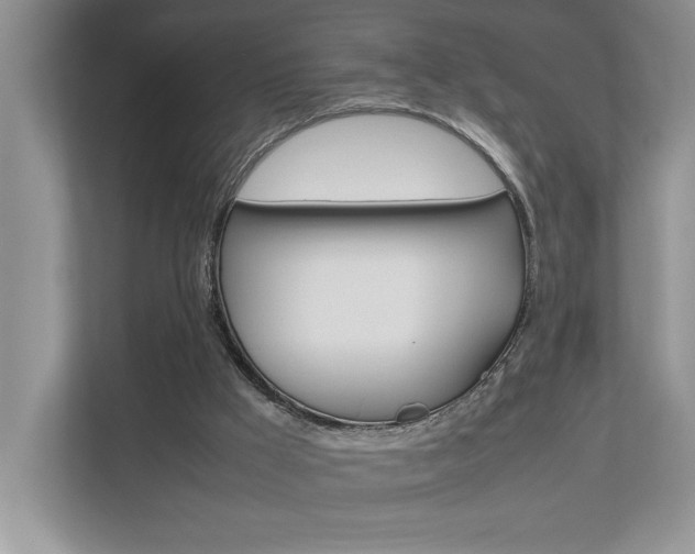 X0000112490009200908171000