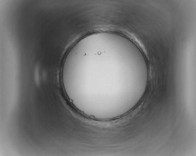 X0000112490010200908171000