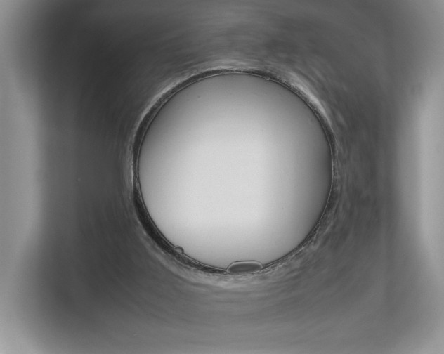 X0000112490011200908171000