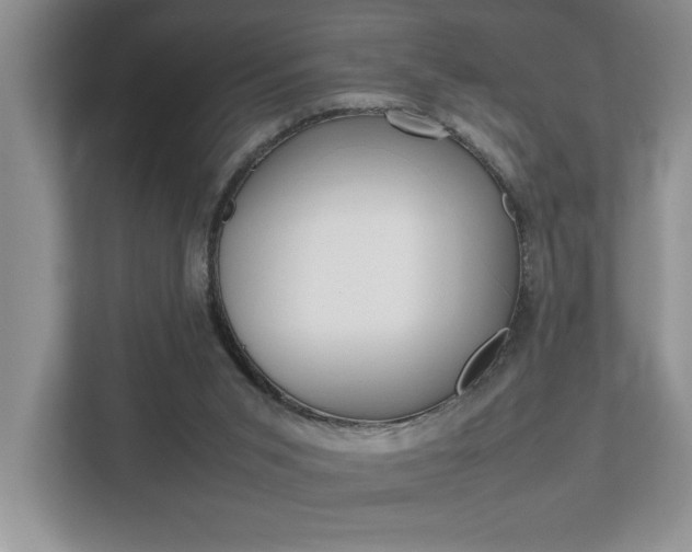 X0000112490015200908171000