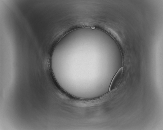 X0000112490017200908171000