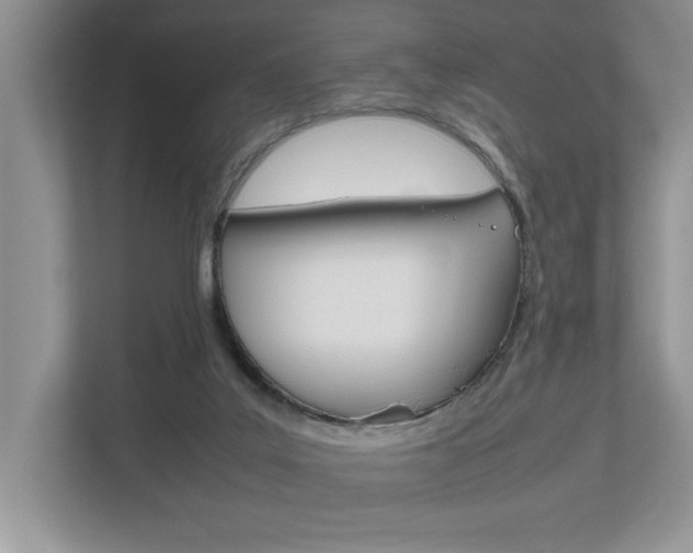 X0000112490019200908171000